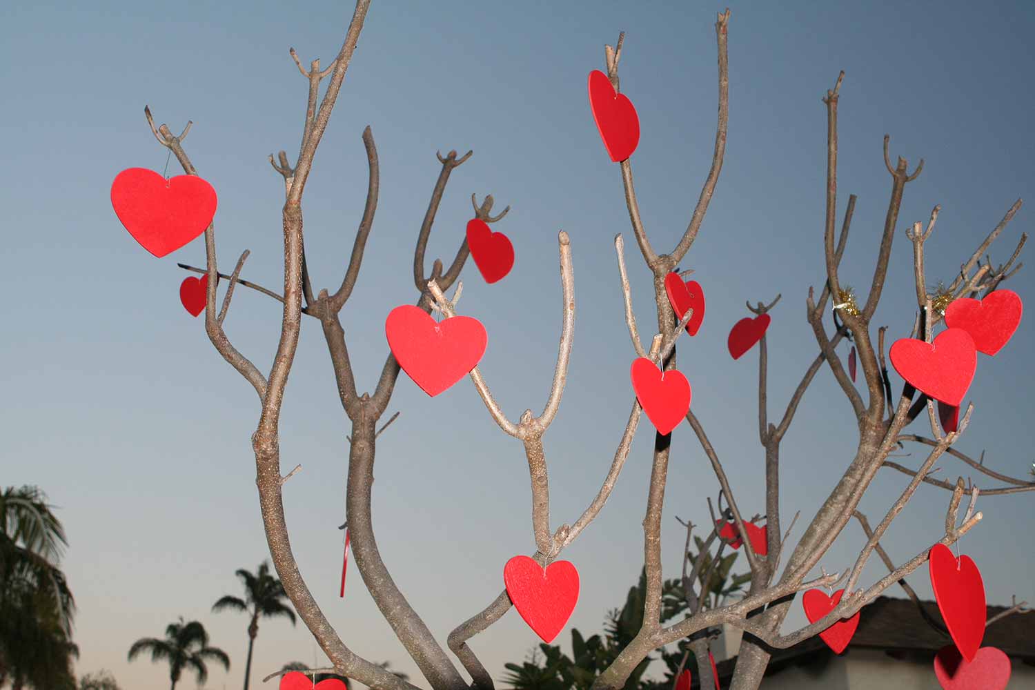 Valentine’s Day 2018: Top 9 Last Minute Date Ideas - Scott Liv
