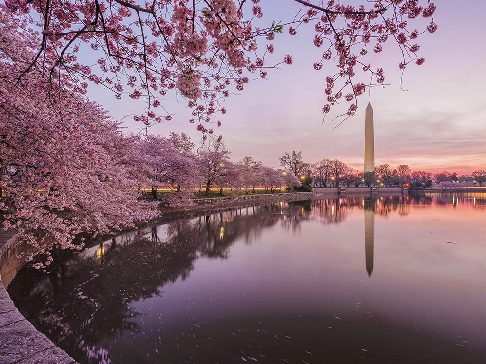 6 of America’s Most Beautiful Places to Visit in the Spring - Scott Livengood